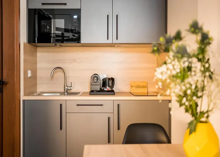 Homaris Boxi Studios Berlín